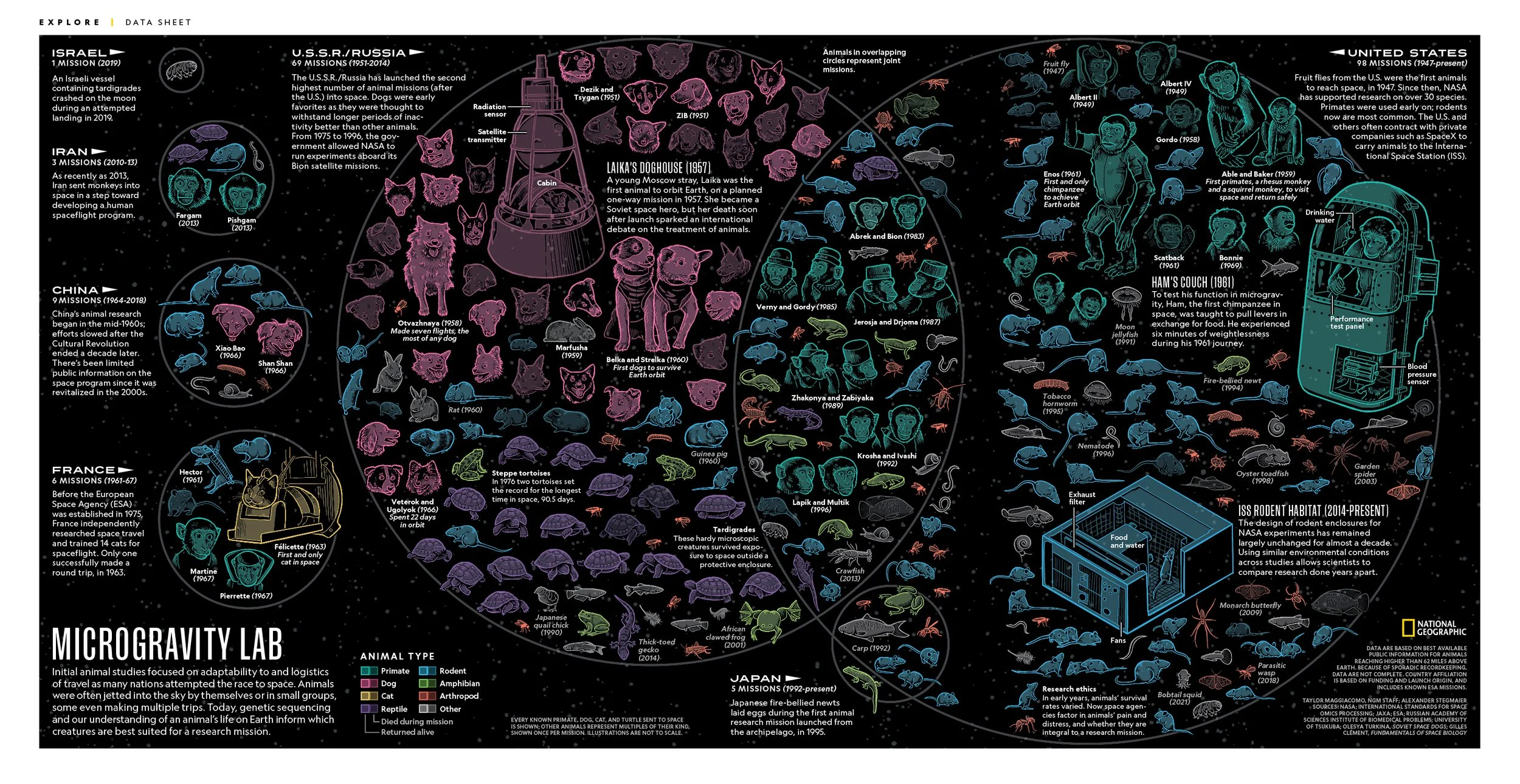 Animals in space-02.jpg