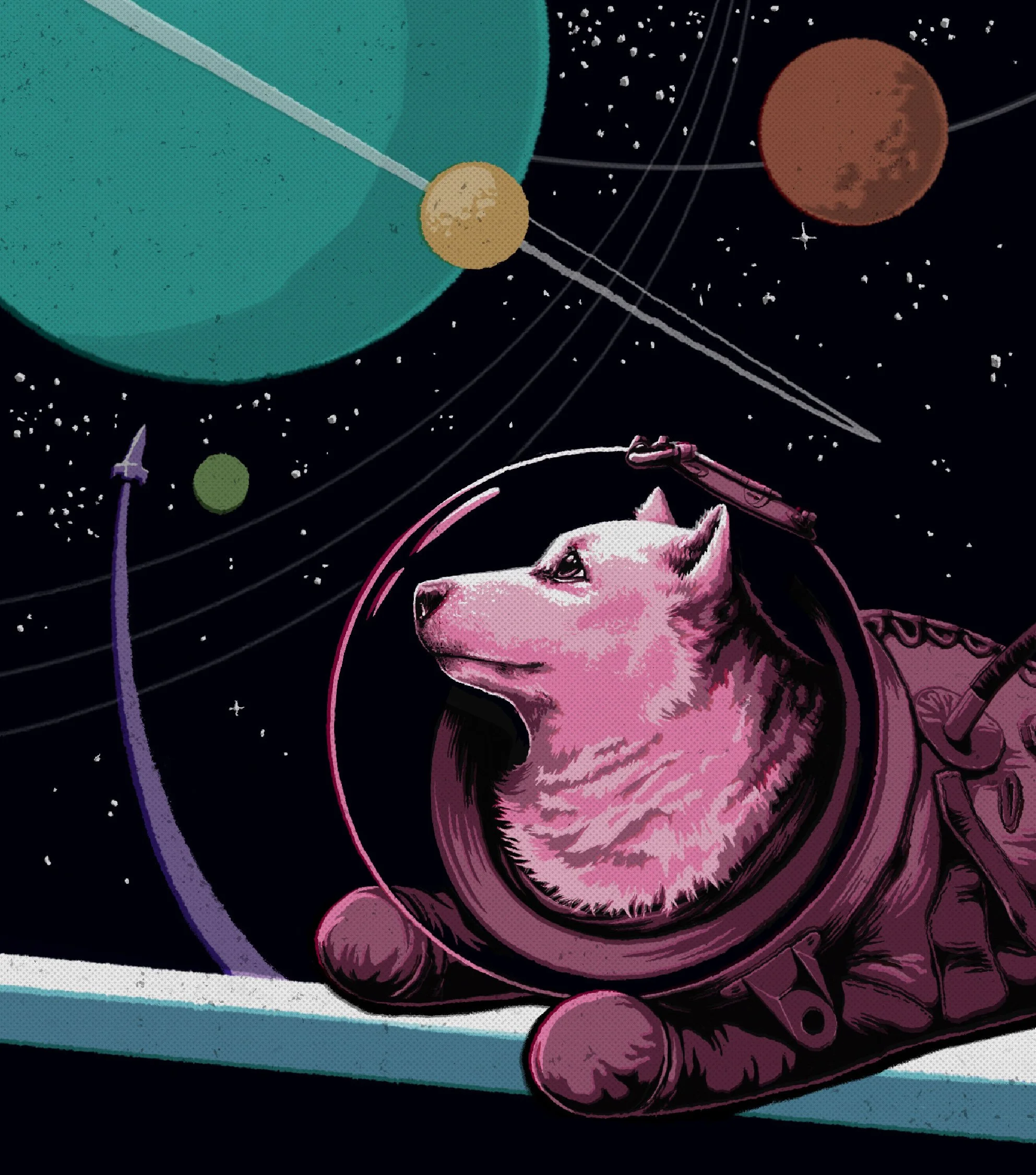 Animals in Space_instagram-01.jpg