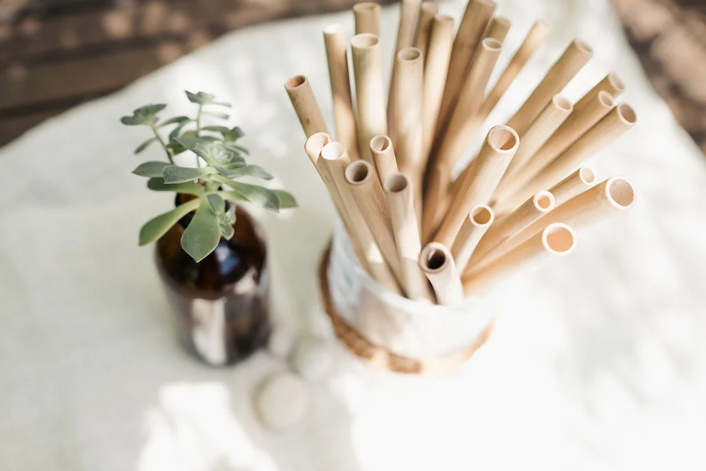 2 Pack of Bamboo Straws + Cleaning Brush + Striped Pouch.       ON SALE 1/2 PRICE