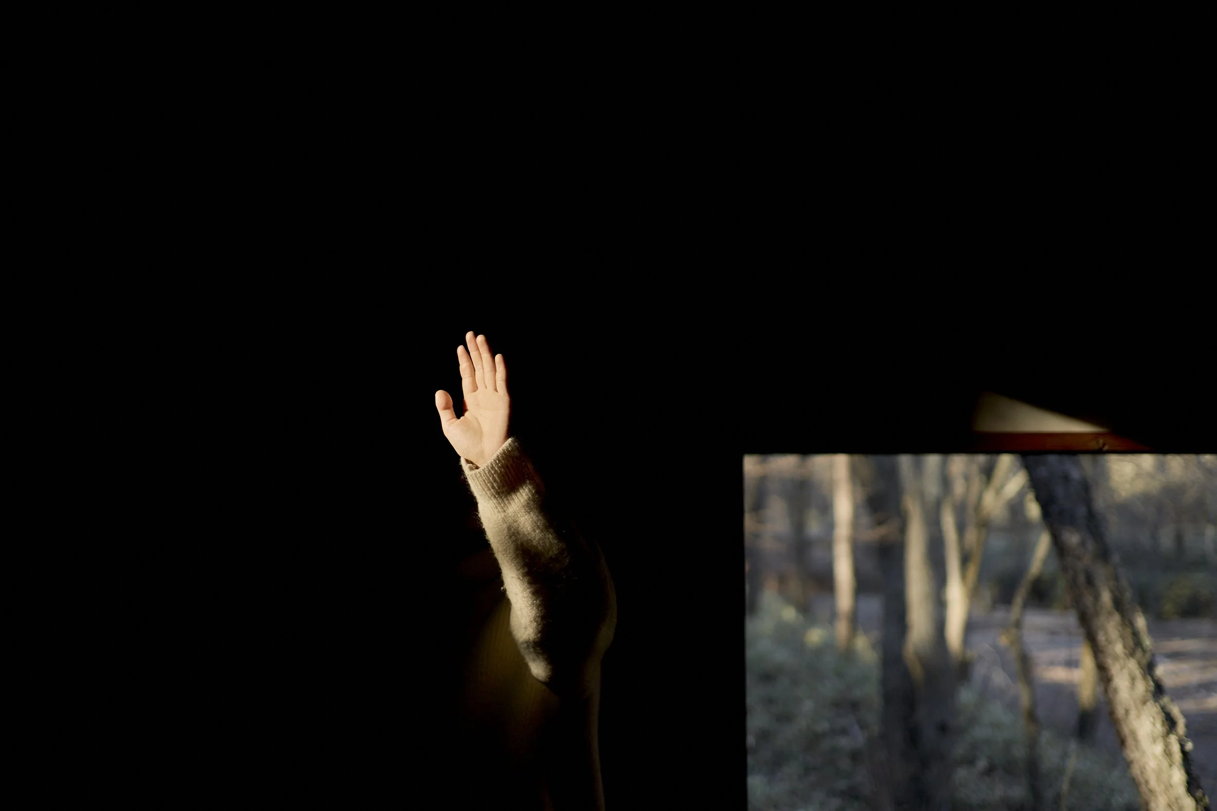 0213-_SYU0148.jpg