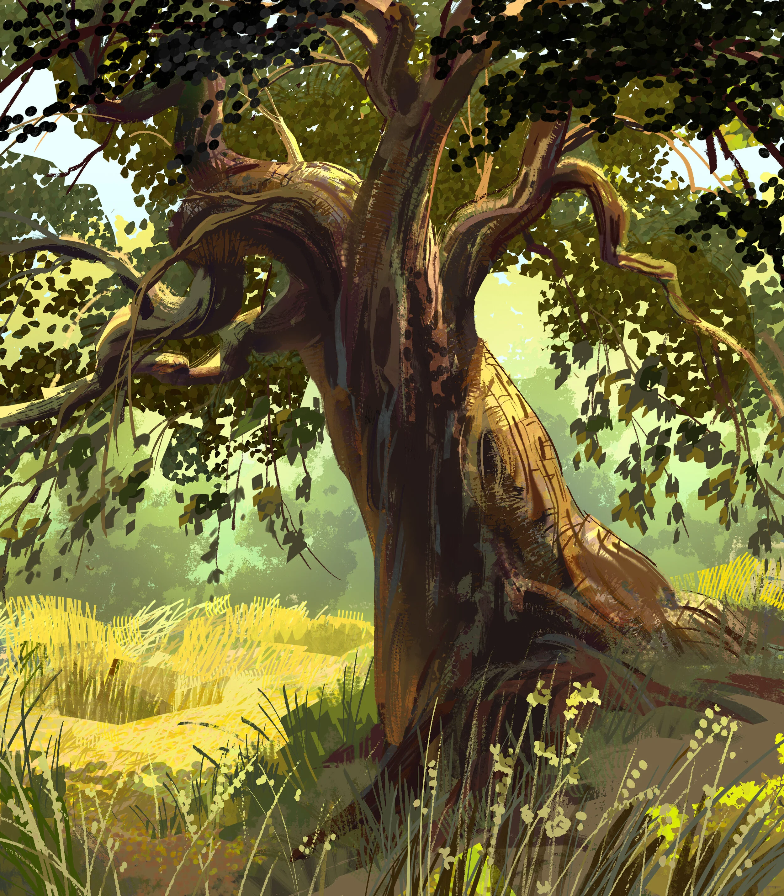 sketch 091821 copy.jpg