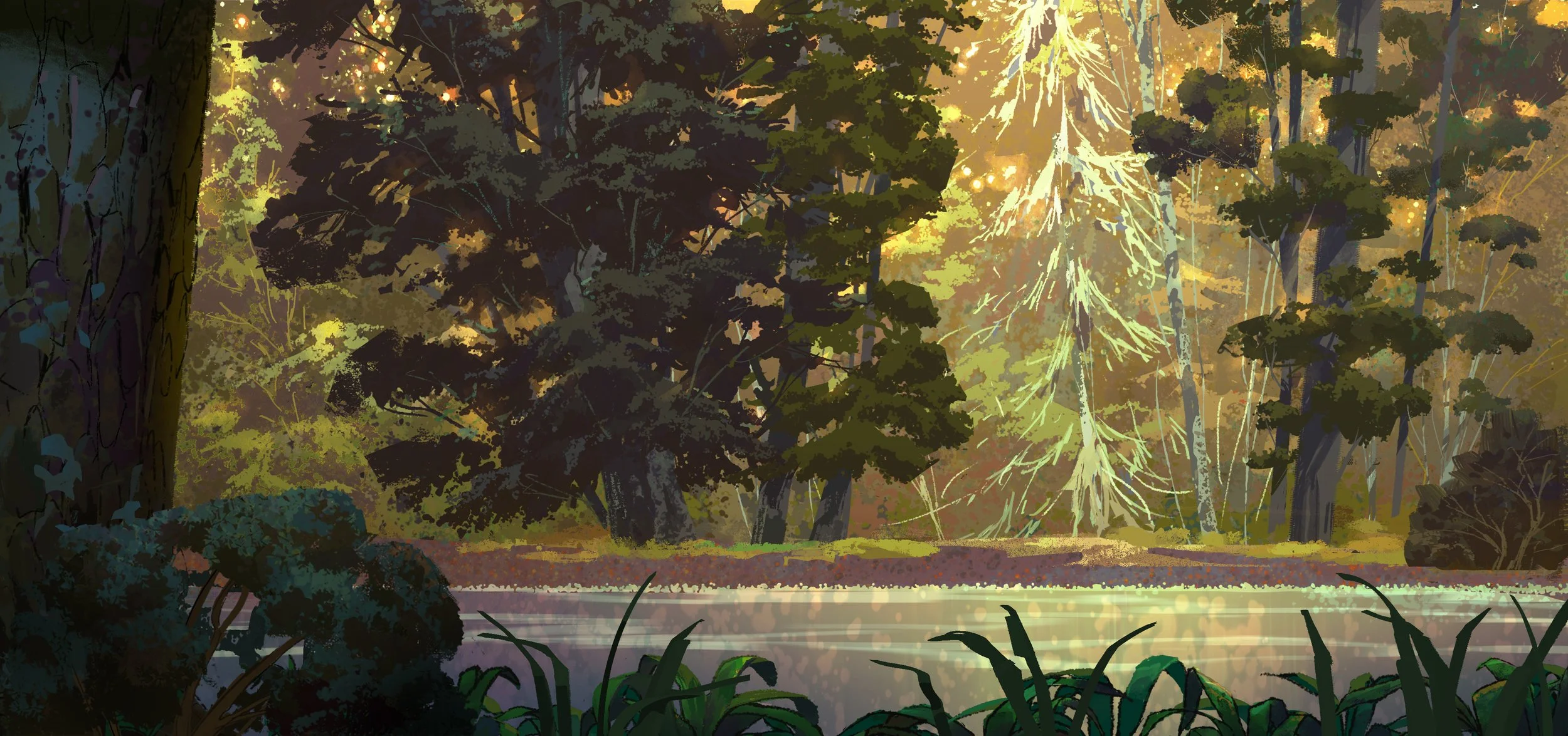 sketch 062524 copy.jpg