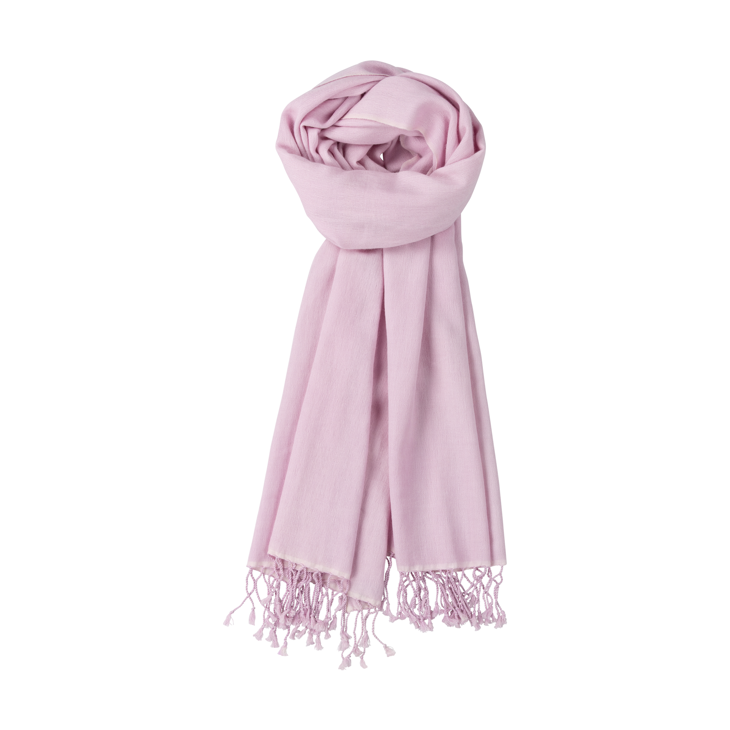 pink lilac