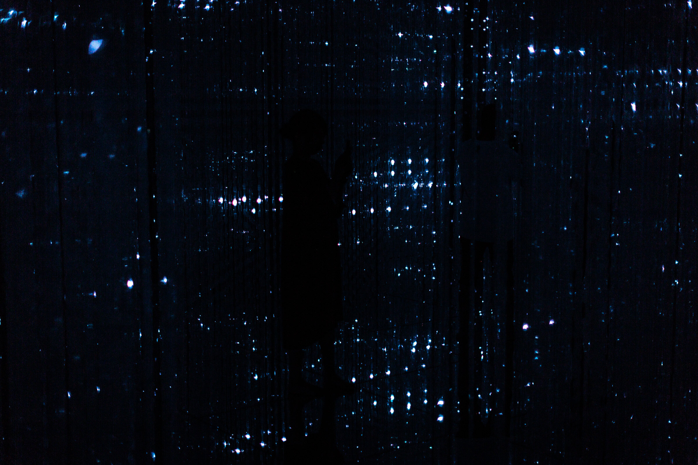 2019_TeamLab-5595.jpg