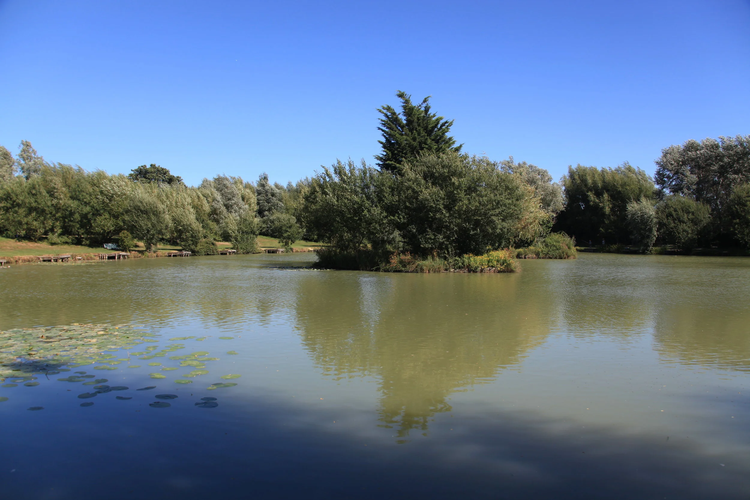 BOTTOM_LAKE_8486.JPG