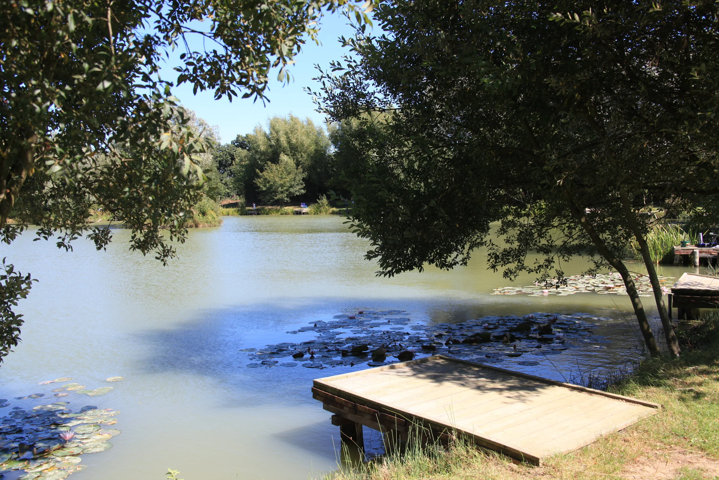 BOTTOM_LAKE_8487.JPG