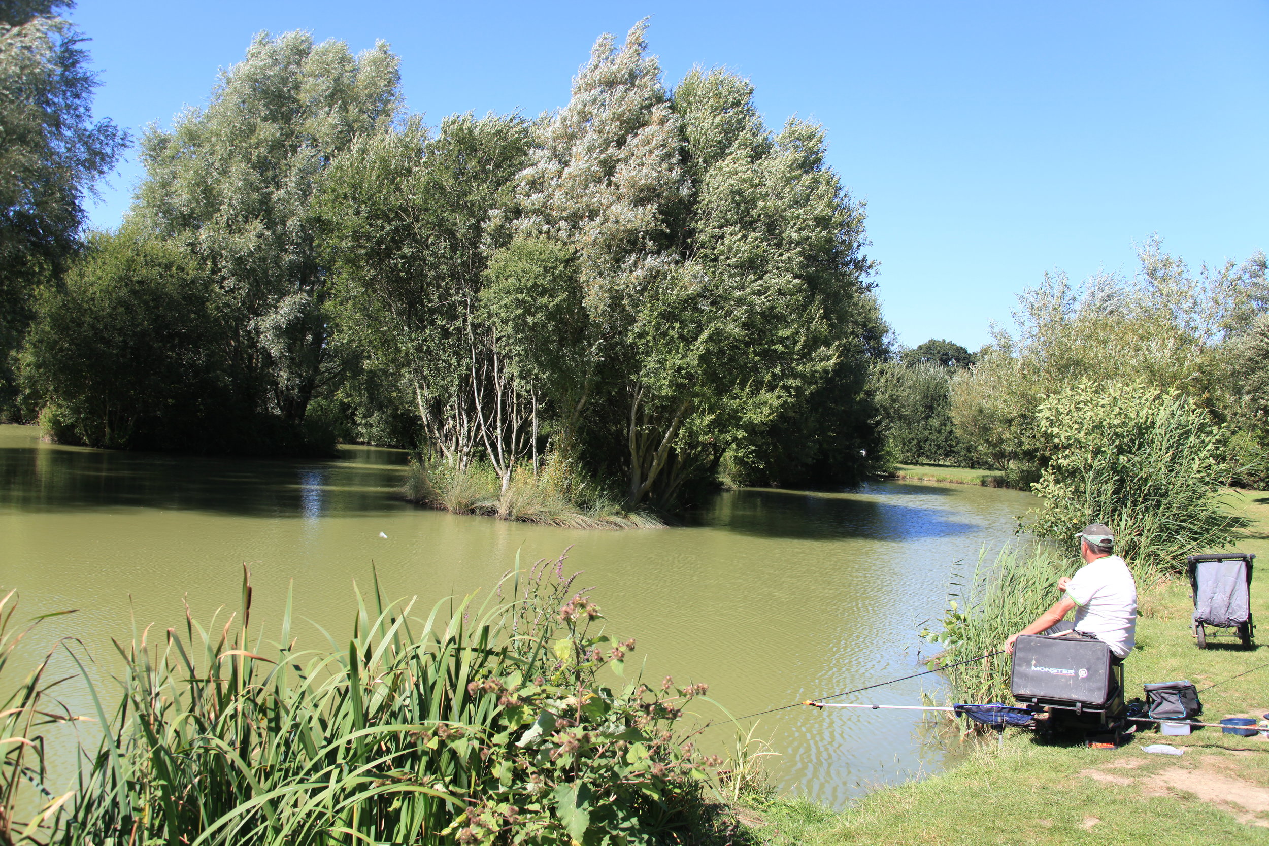 TOP_LAKE_8483.JPG