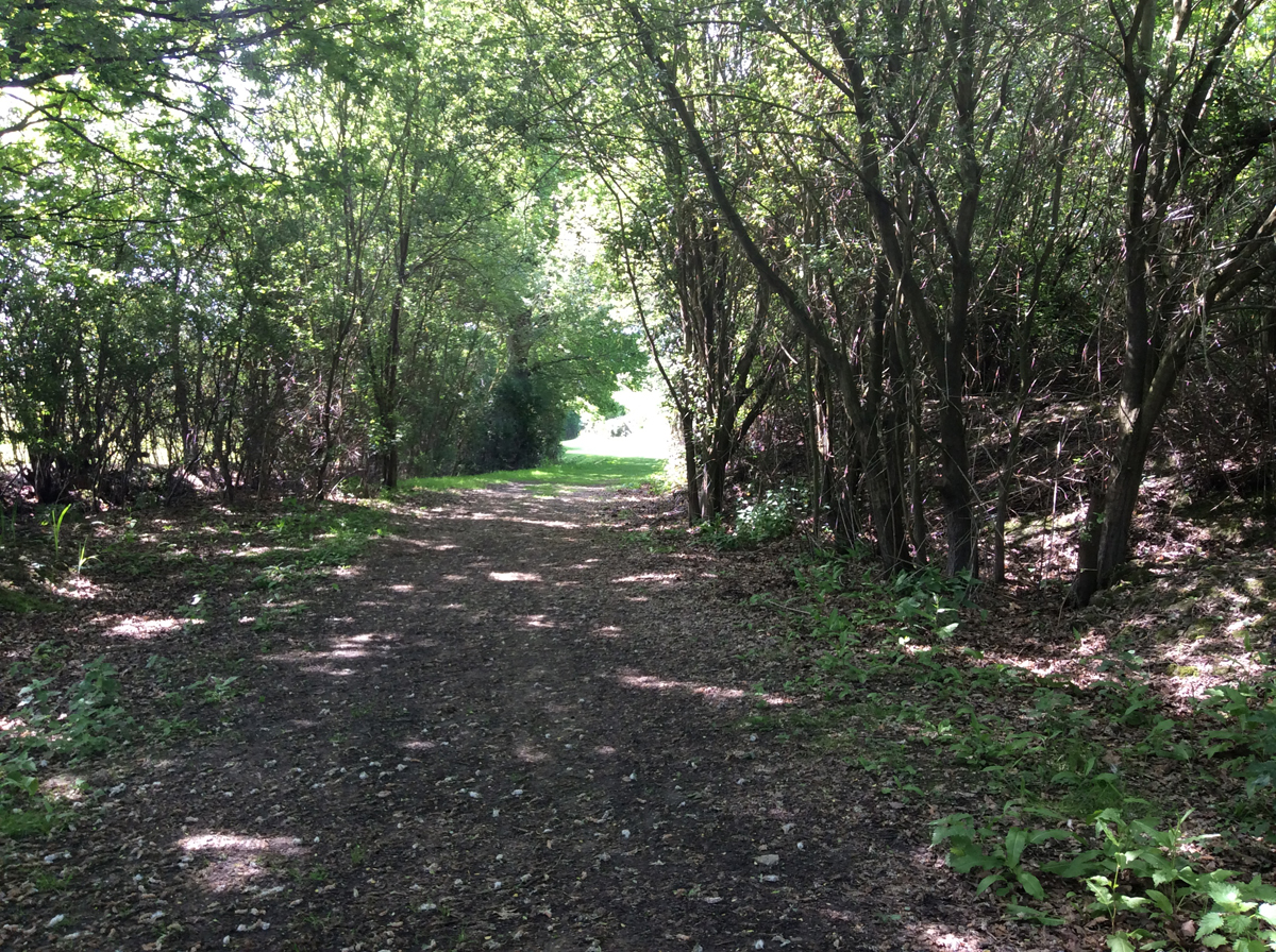 walk_22_May.jpg