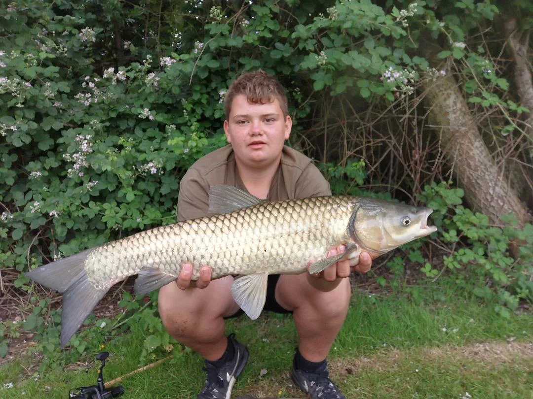 Carp_8July19.jpg