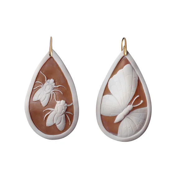 LA VITA DEGLI INSETTI