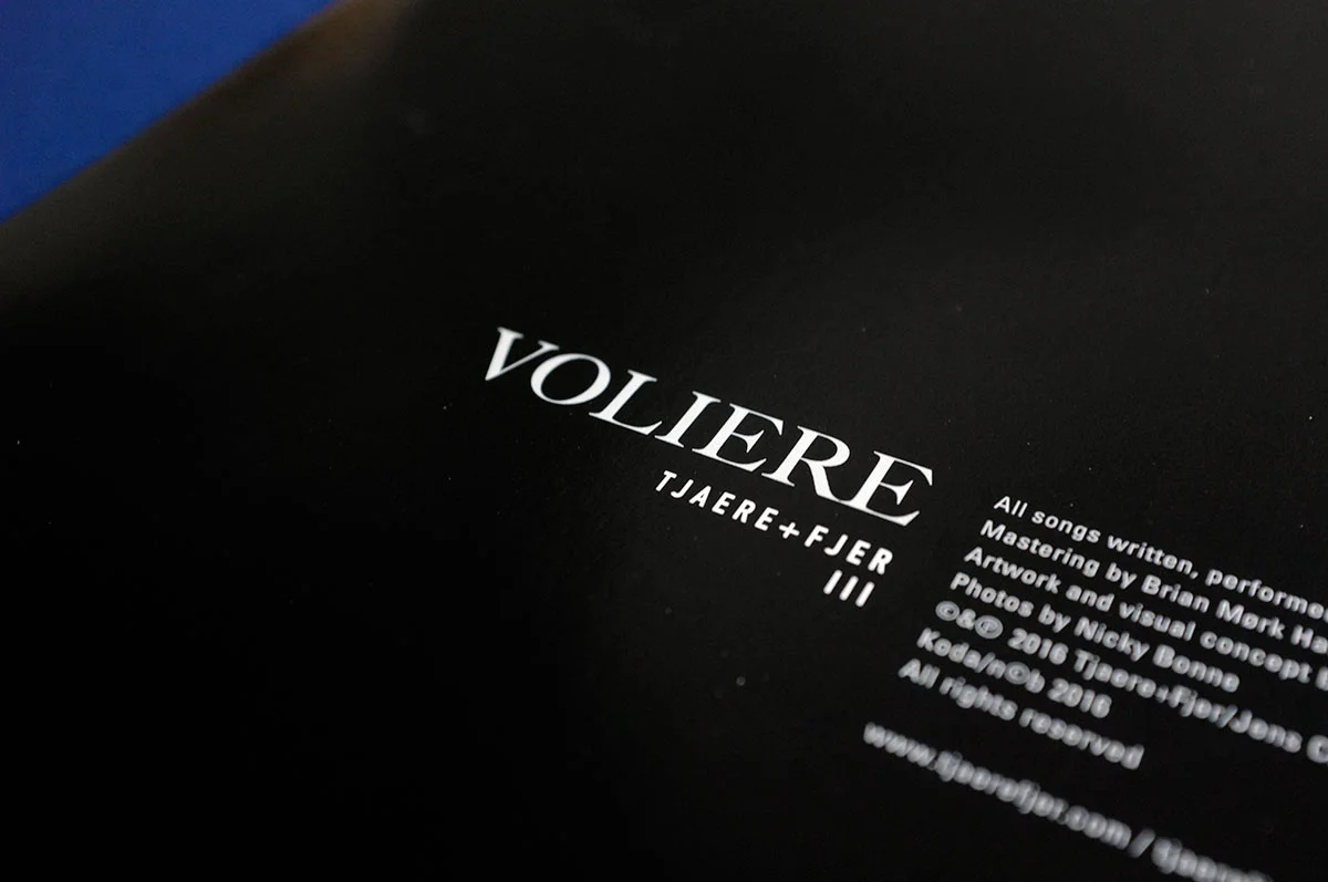 _DSF8657.jpg