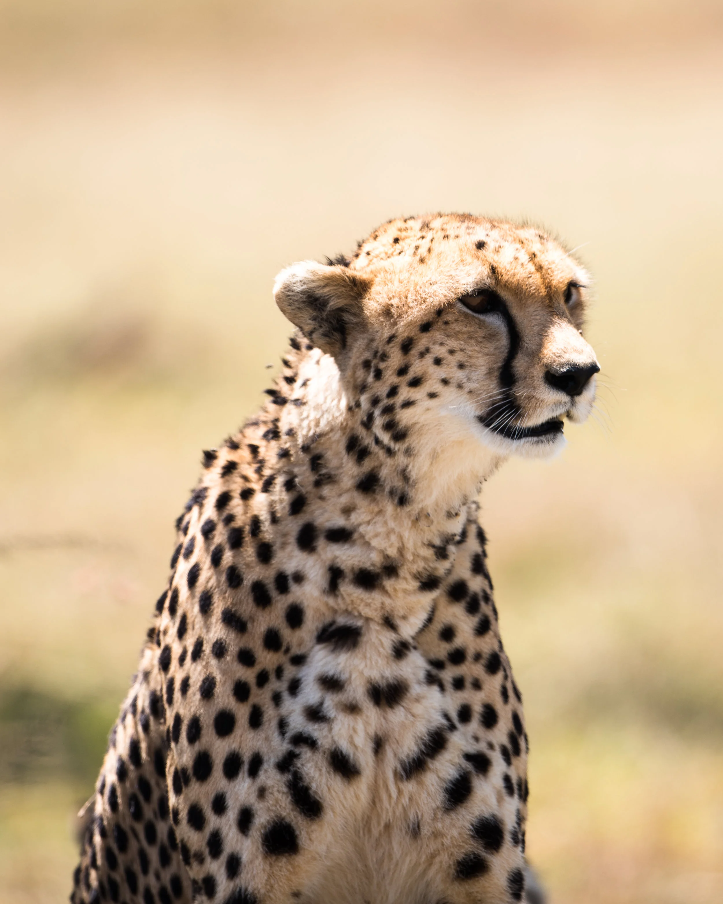 20190220-DSC_4001-3.jpg