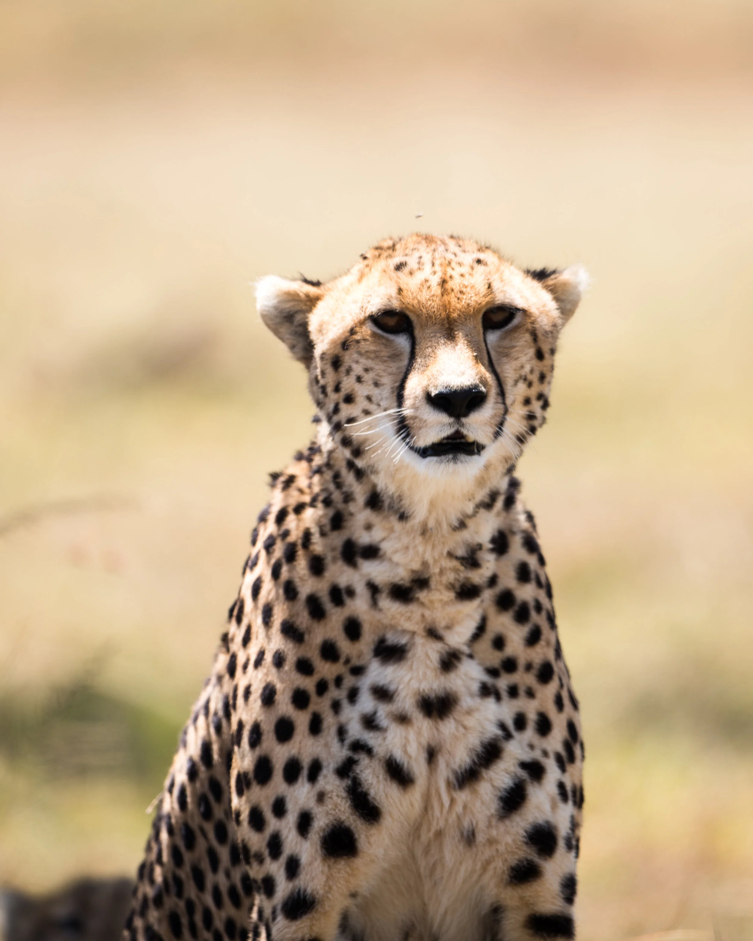 20190220-DSC_4006.jpg