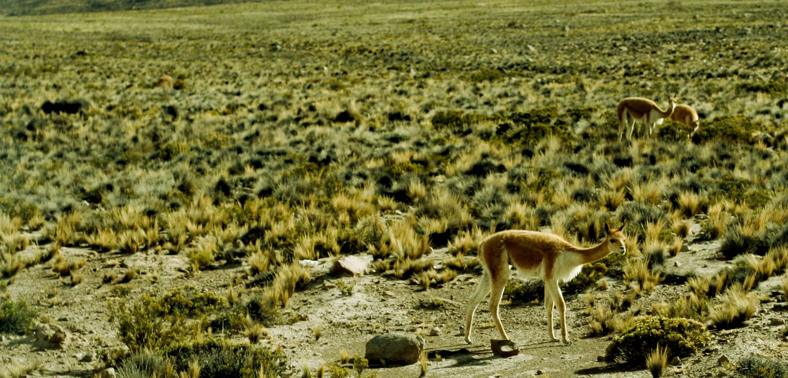 04 - Copy.jpg