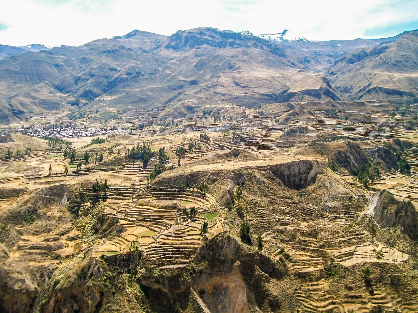 Full Day Tour al Cañón del Colca