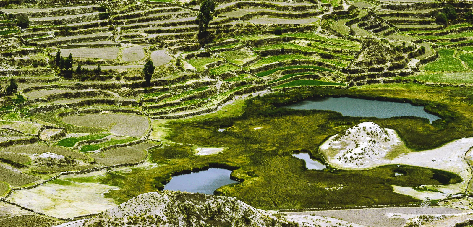 Full Day Tour al Cañón del Colca