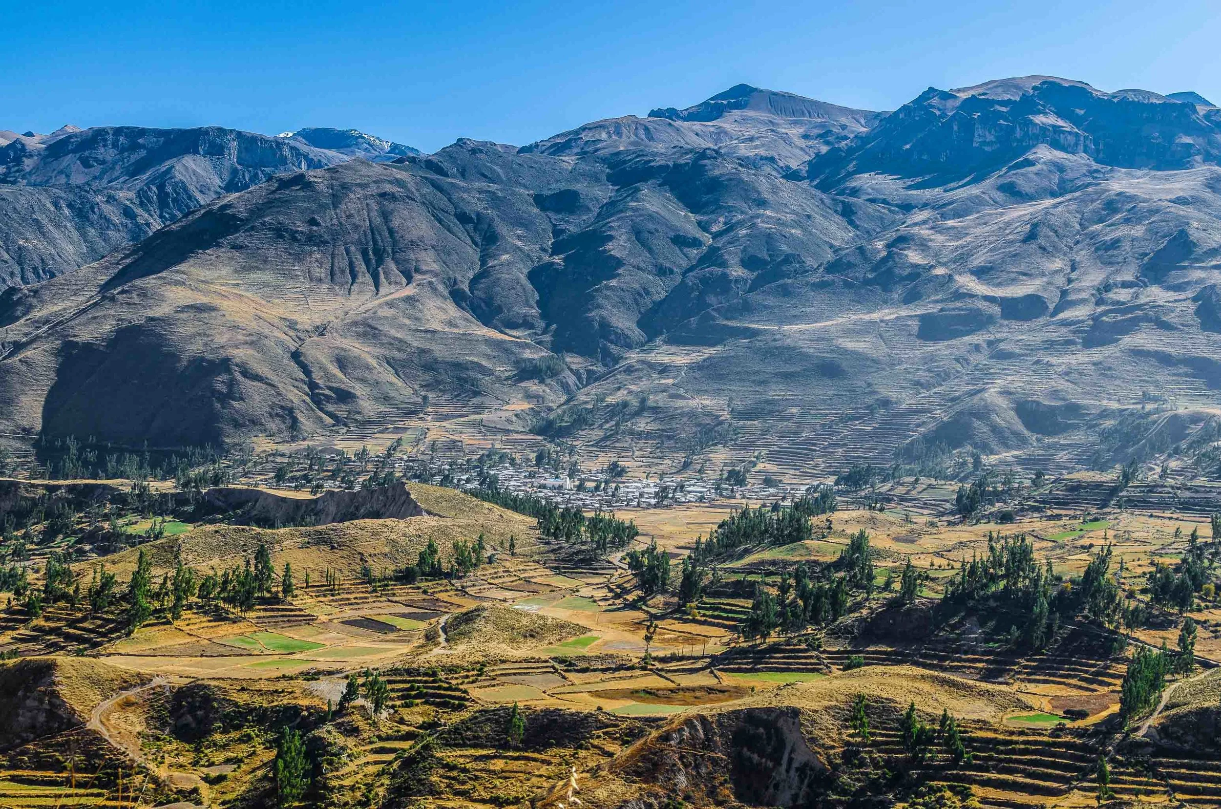 Full Day Tour al Cañón del Colca