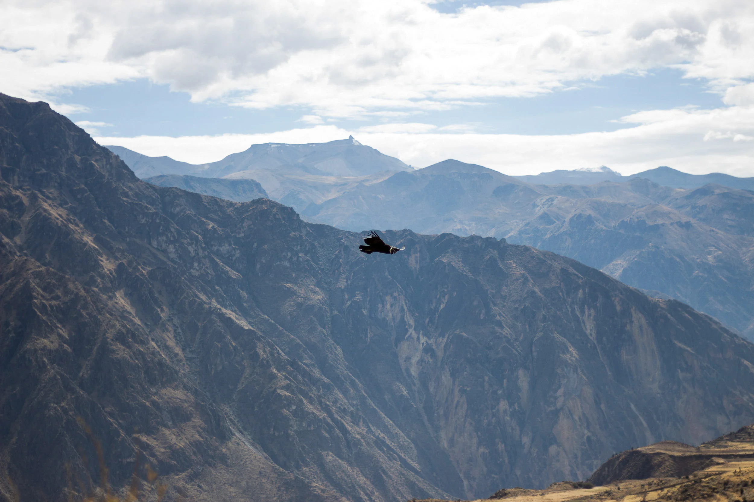Full Day Tour al Cañón del Colca