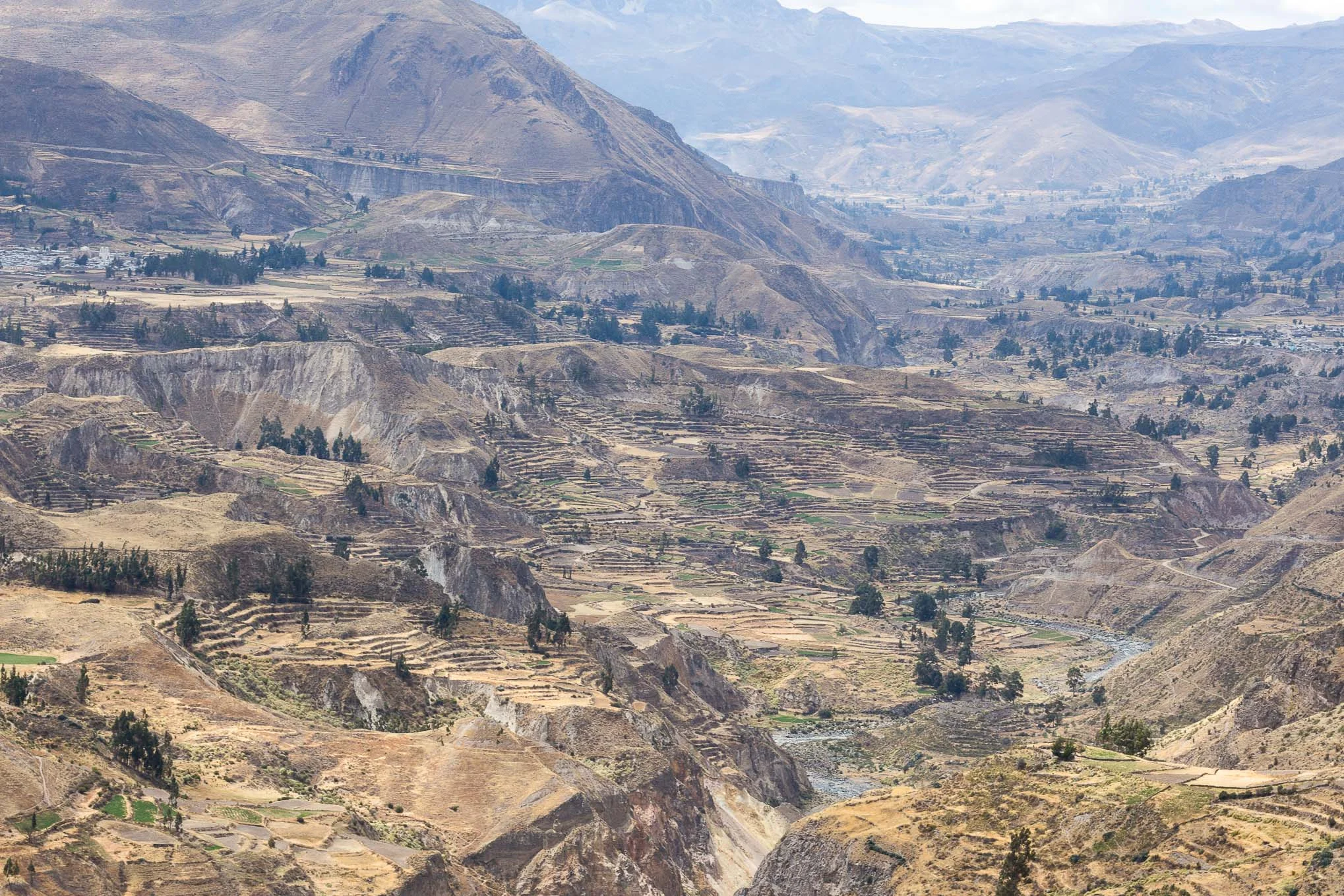 Full Day Tour al Cañón del Colca
