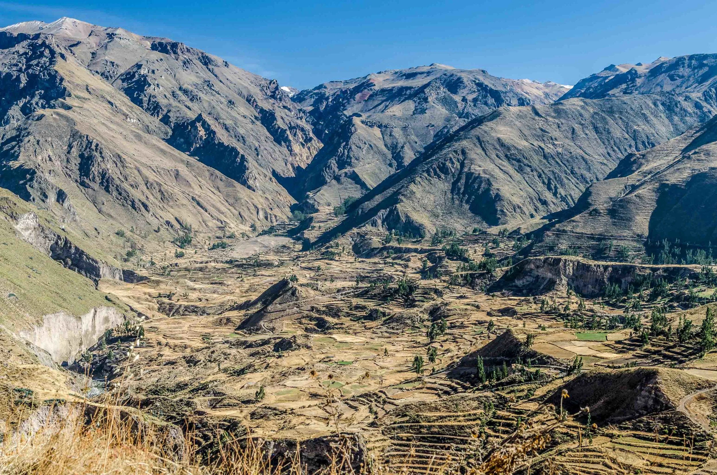 Tour Convencional al Cañón del Colca en Arequipa