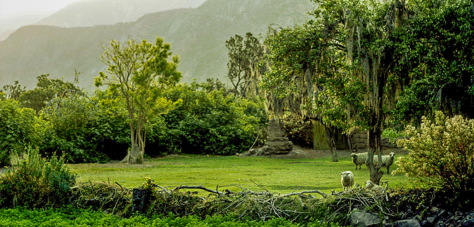 Colca Canyon Arequipa 2 Days Trek