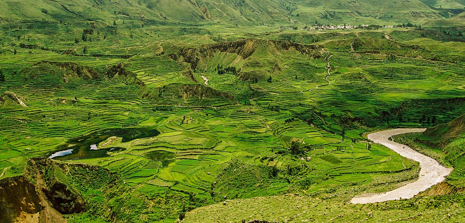 Colca Canyon Arequipa 2 Days Trek