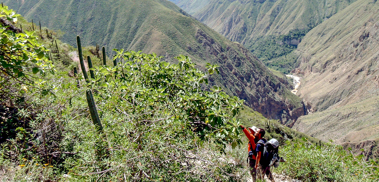 Colca Canyon Arequipa 2 Days Trek