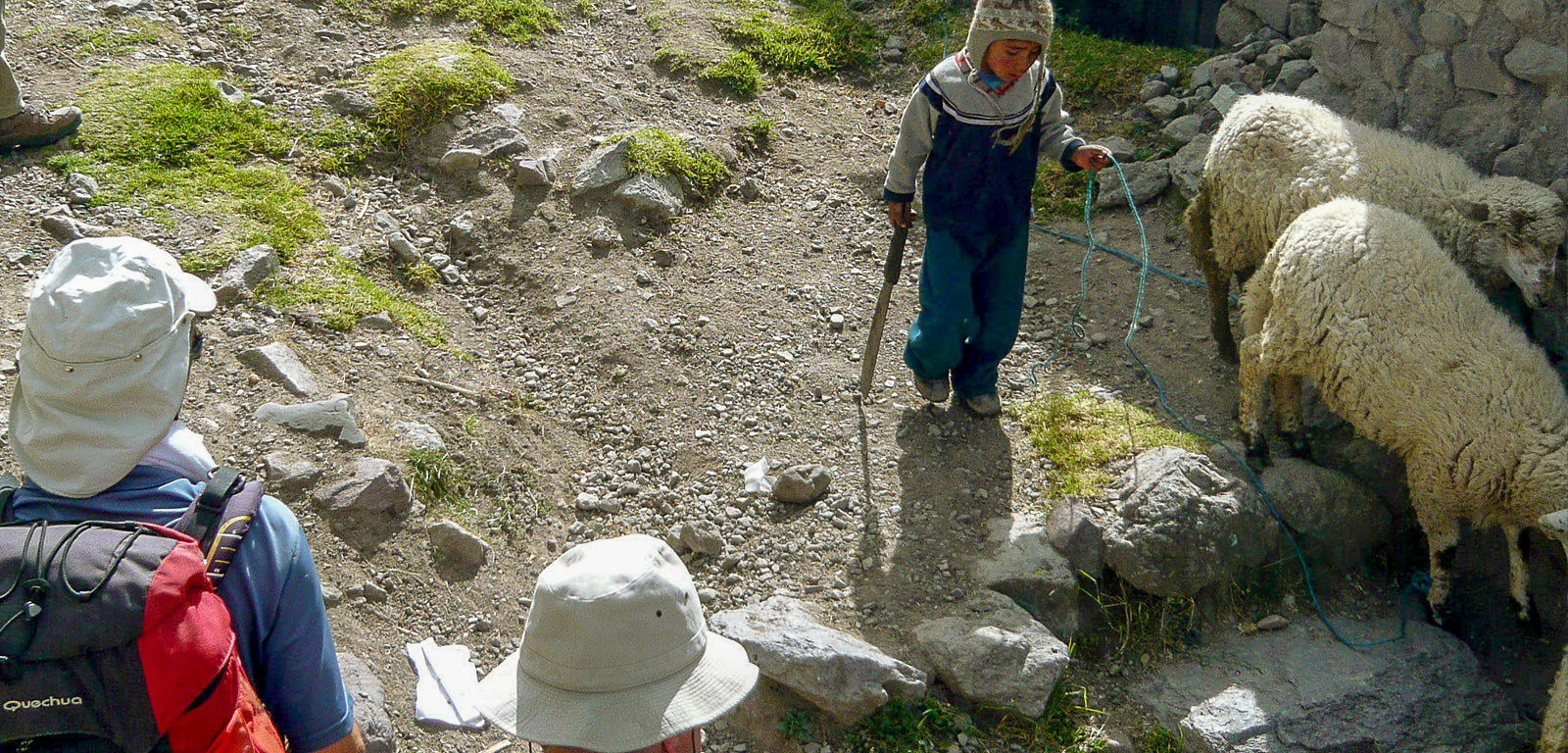 Colca Canyon Arequipa 2 Days Trekking