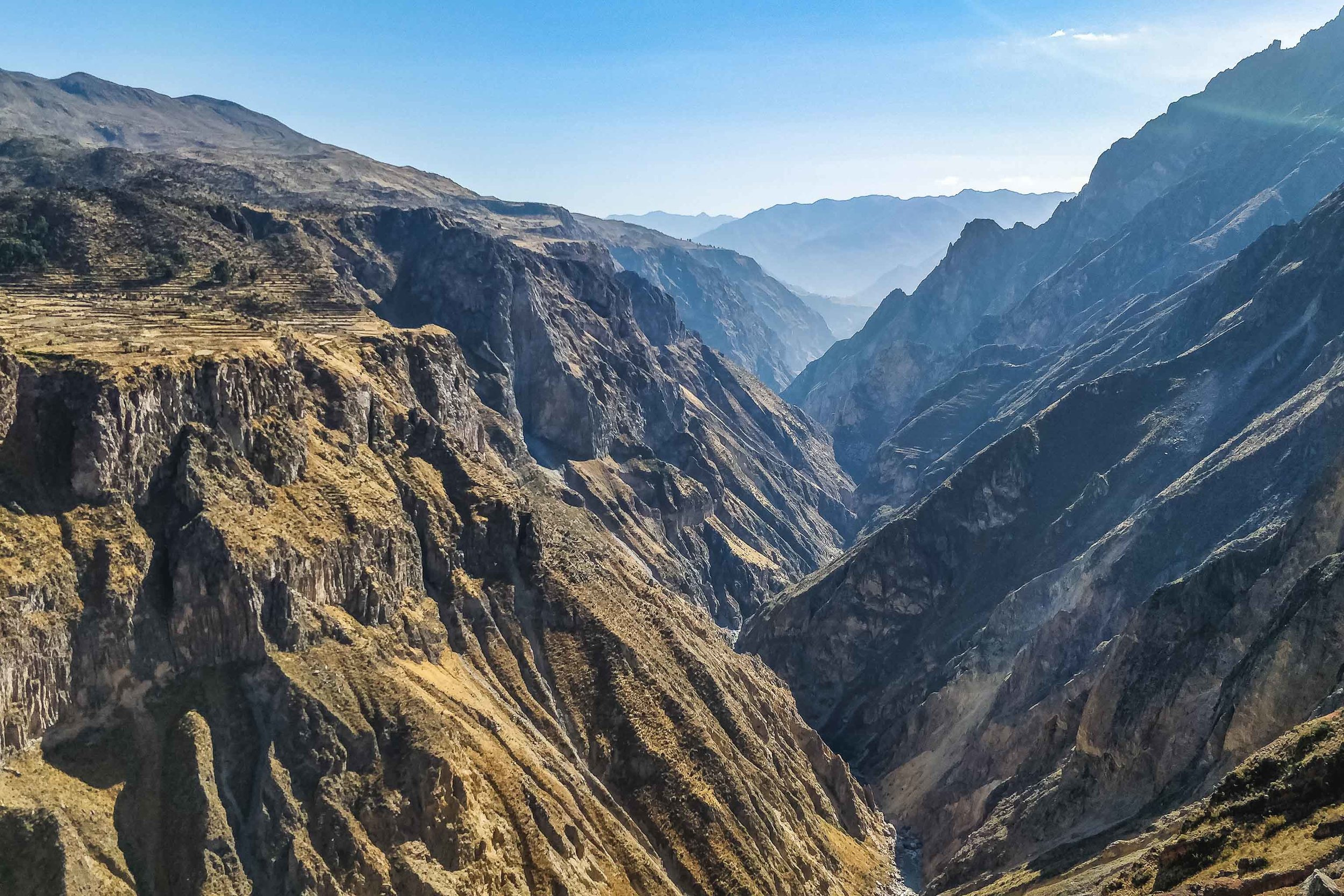 Descubre los mejores tours de Arequipa en el Cañón del Colca