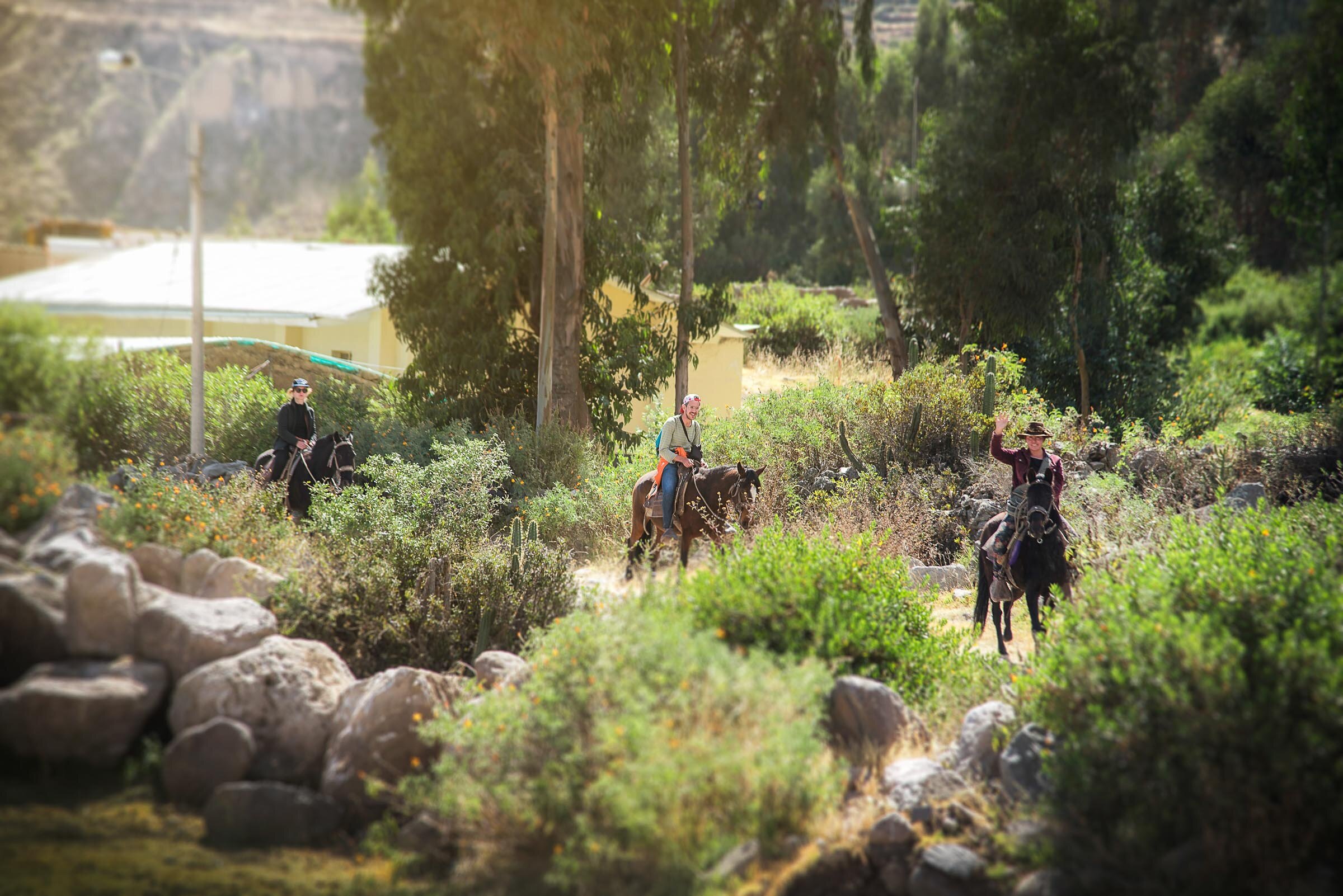 Reserva directamente con Le Foyer Colca