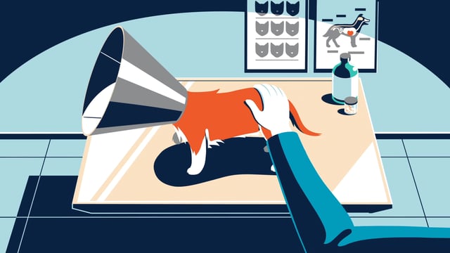 American Express — Chris Cray Animation American Express — Chris Cray Animation