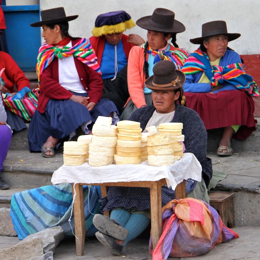 It's a Jungle Out There | Square Mile