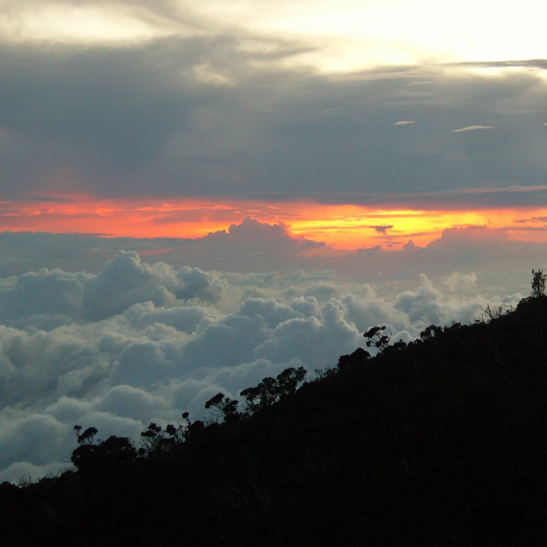 Adventures in Asia | Real Travel