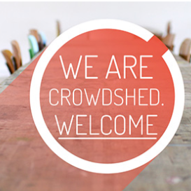 Co-founder and head of brand for CrowdShed