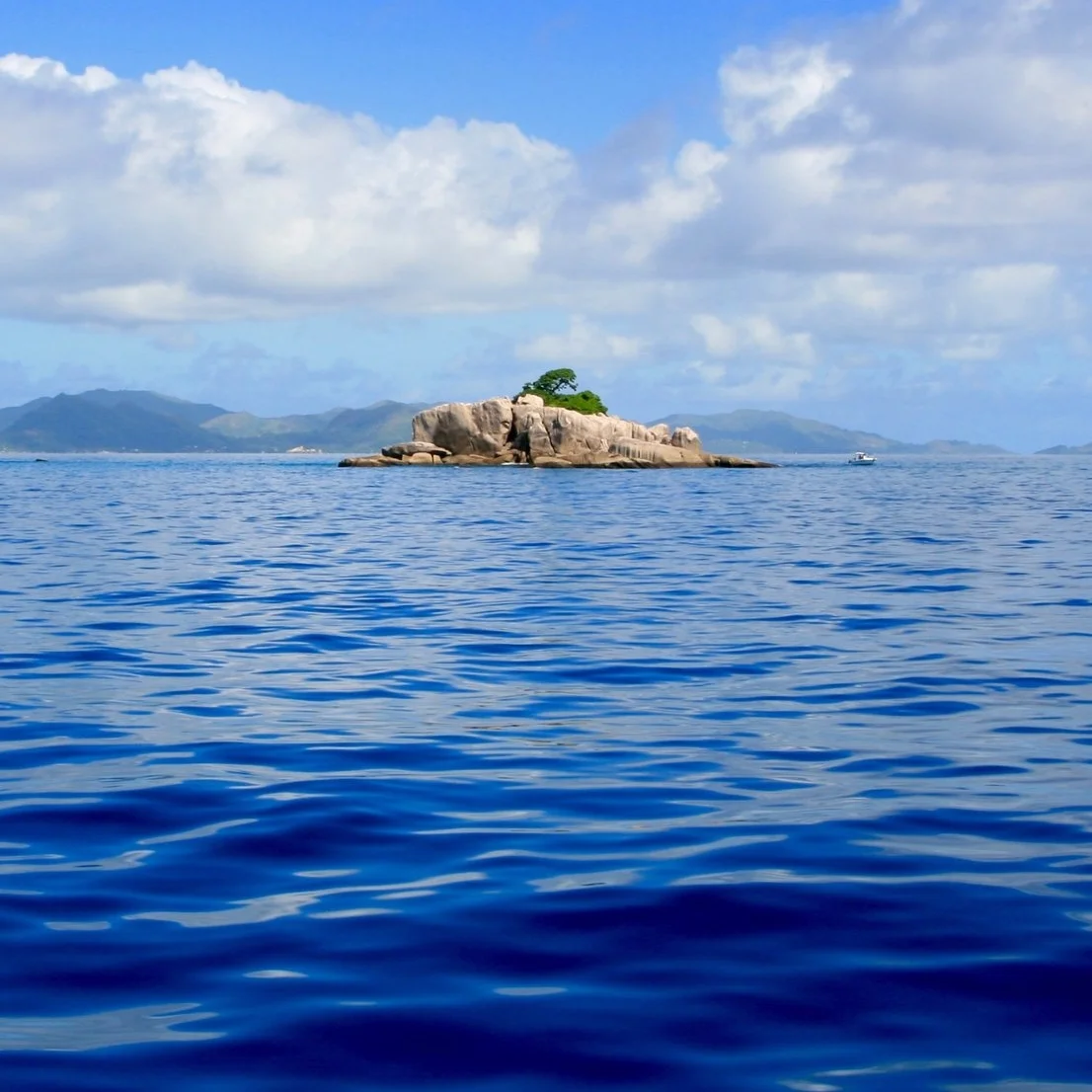 Walk on the Wild Side | Escapism