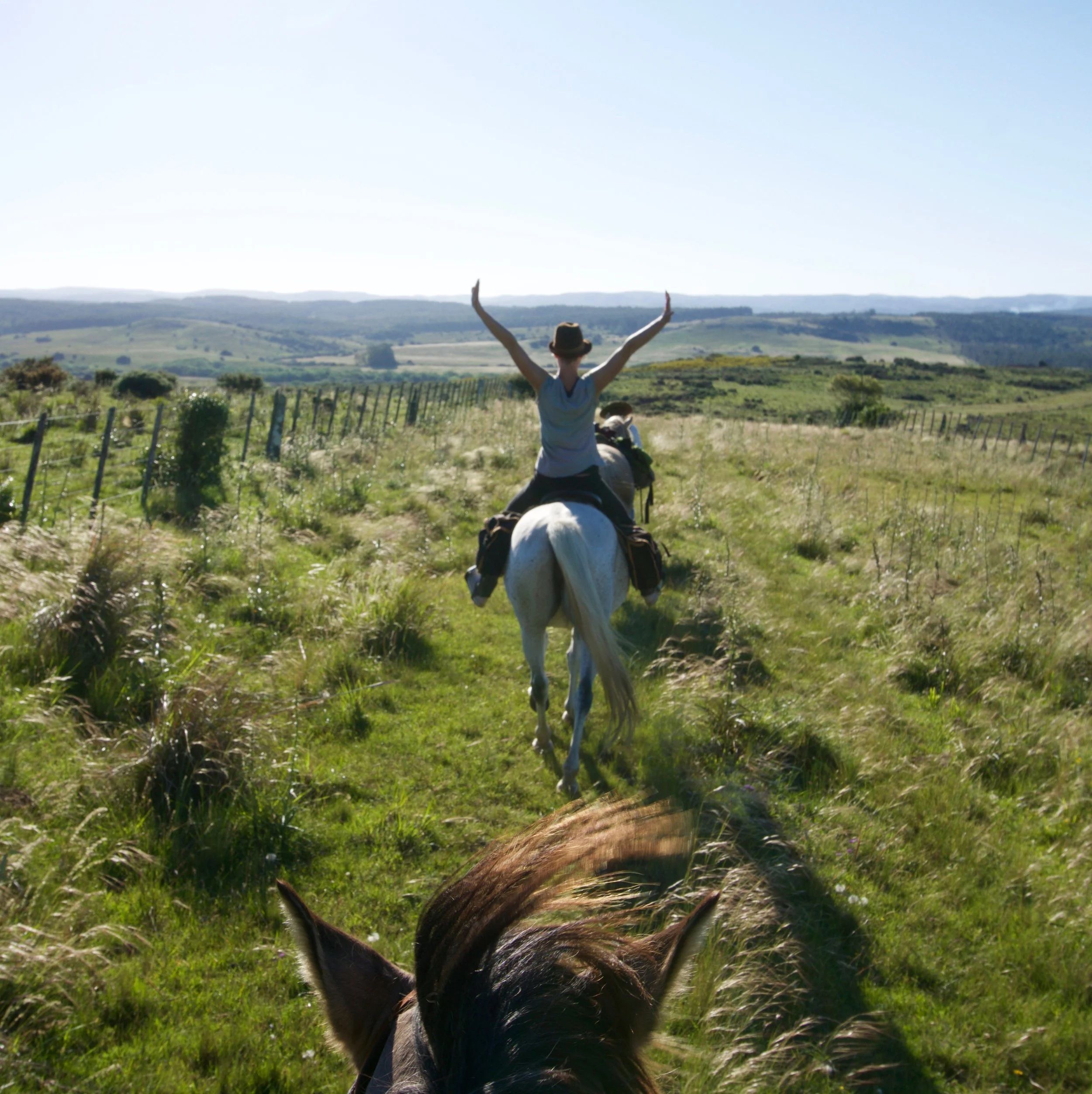 Uruguay's Horse Whisperer | Travel Begins at 40