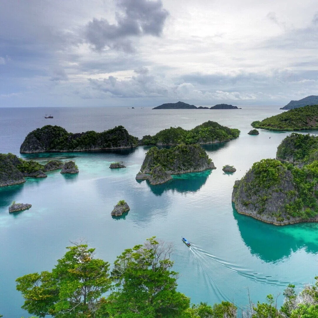 Expand your horizons | Hedge