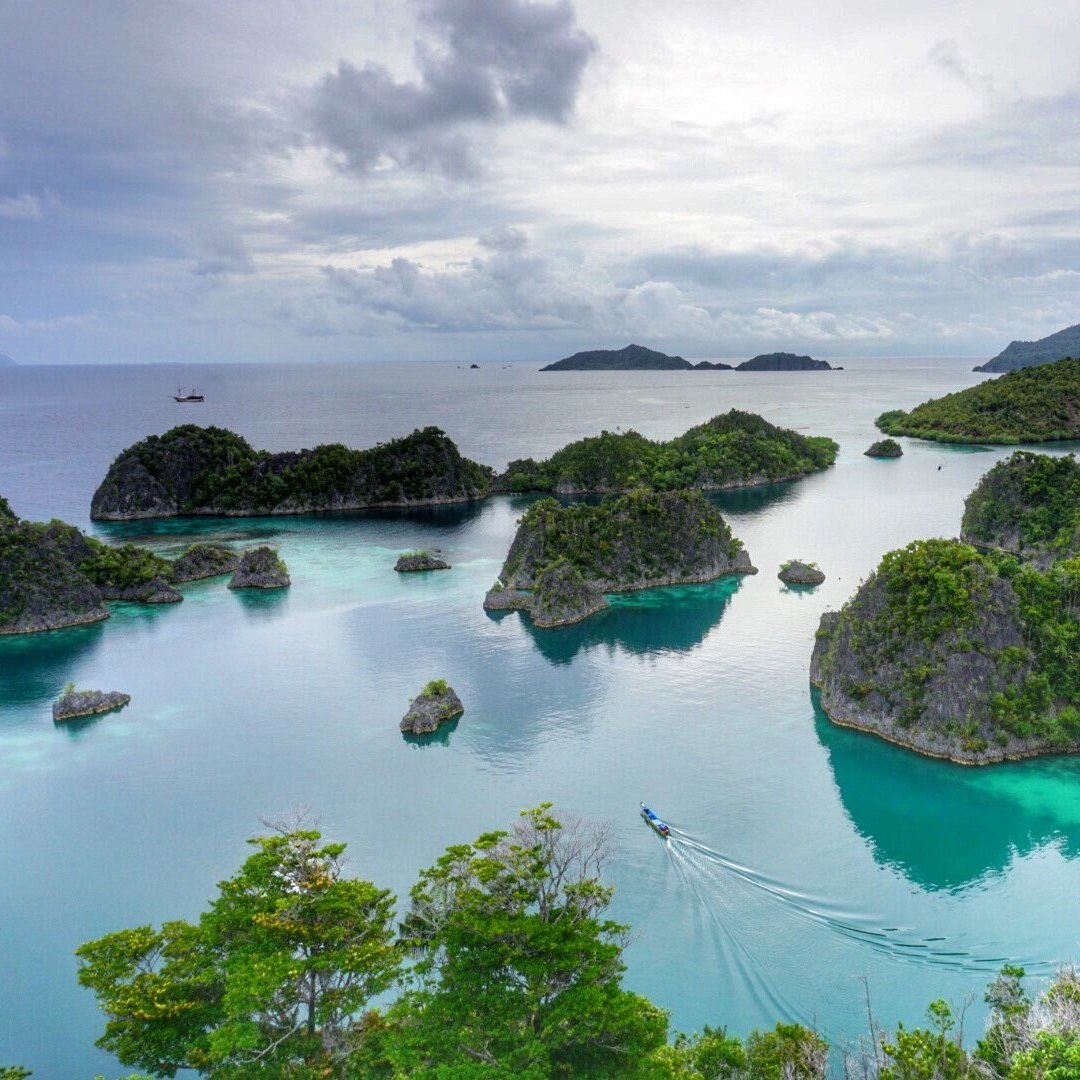 Diving Raja Ampat for Hedge