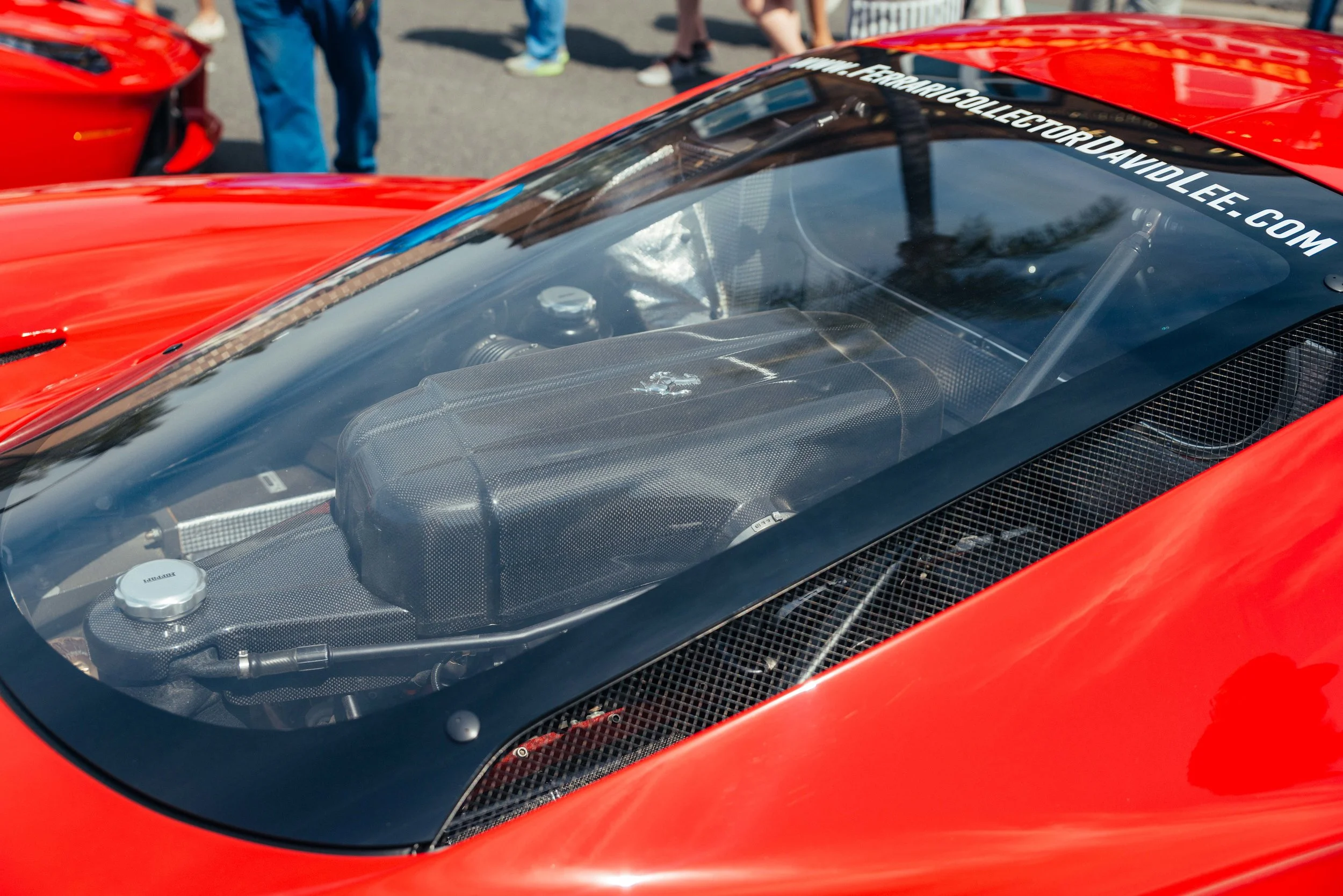 _DSC6008-23.jpg