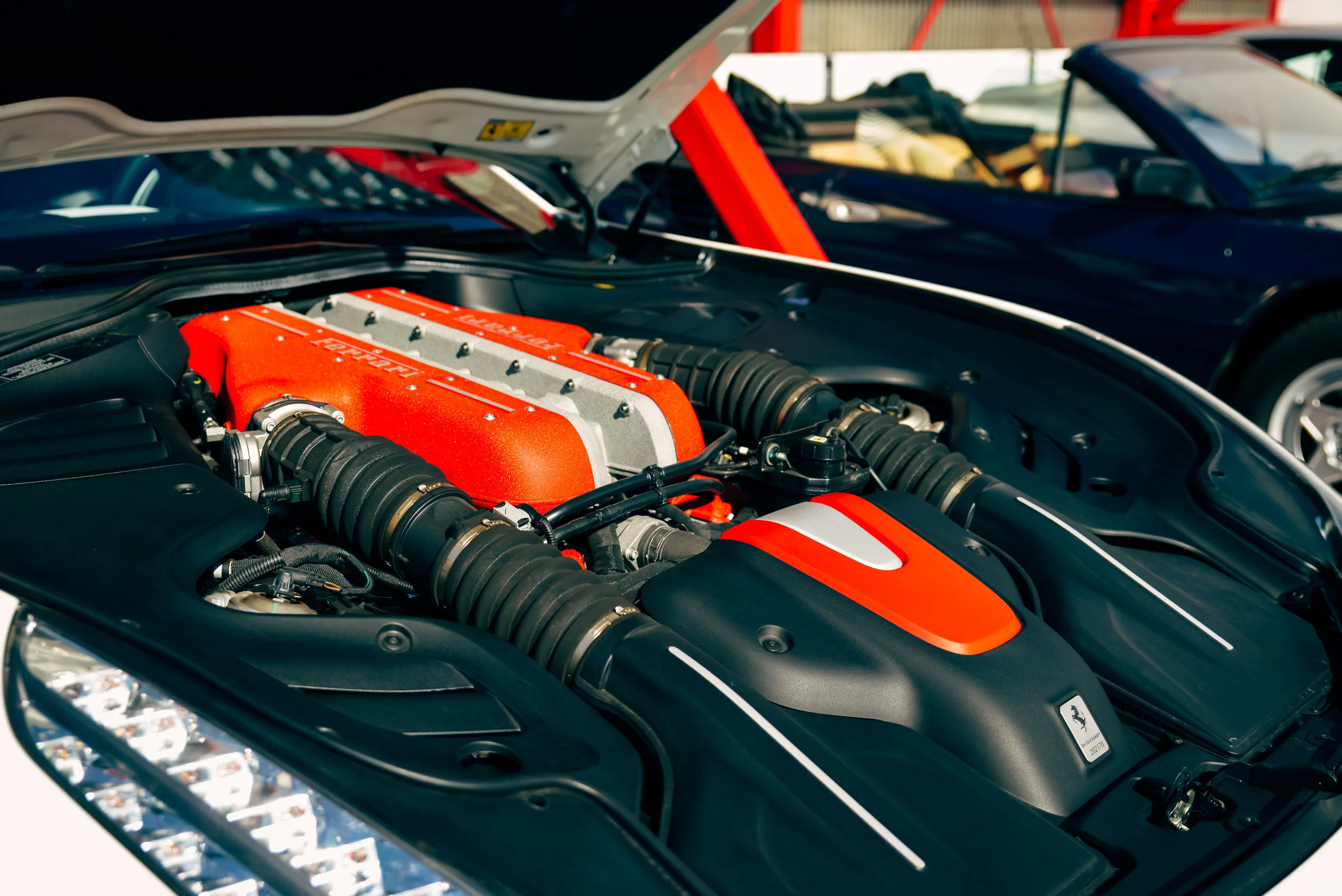 _DSC5500-1.jpg