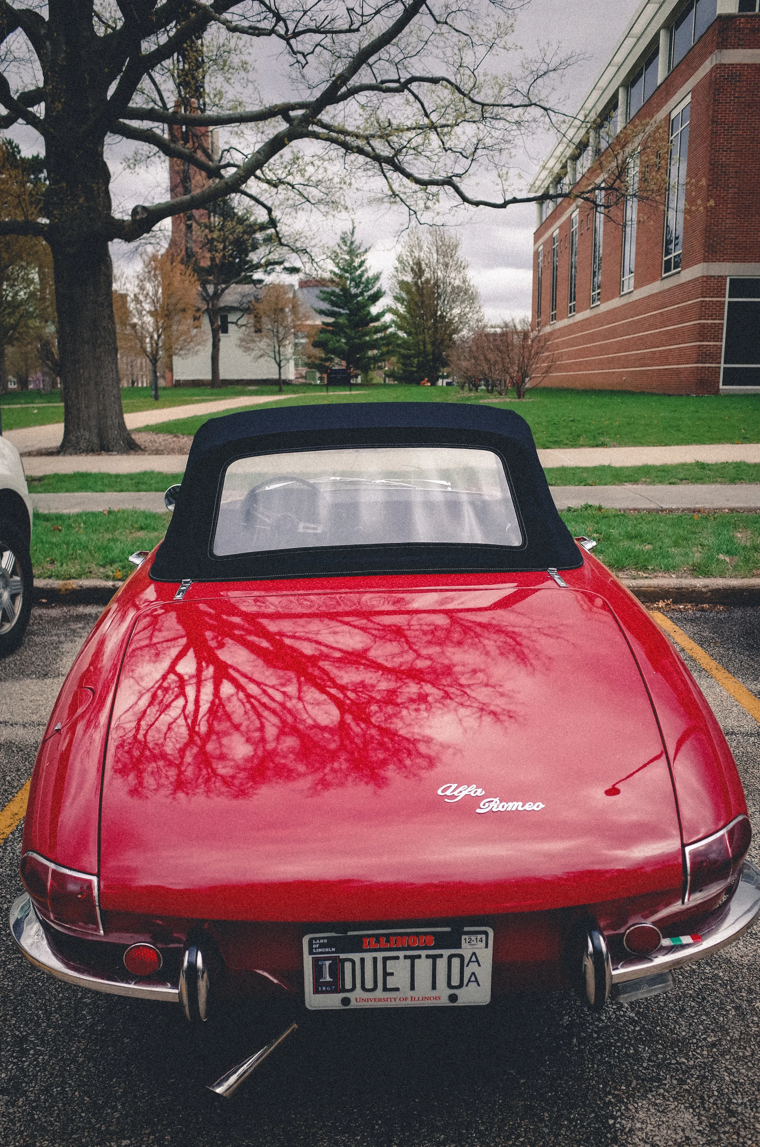 _R000209-1.jpg