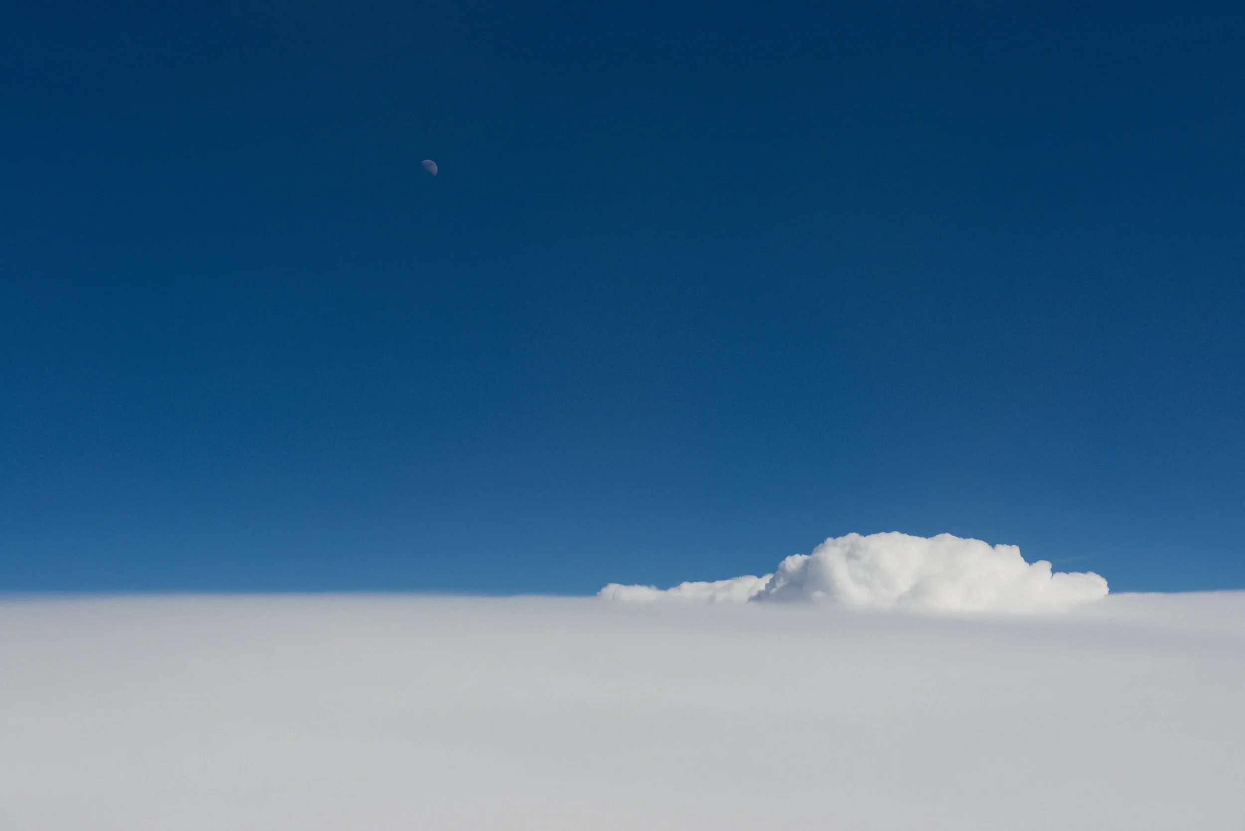 _DSC3869-1.jpg