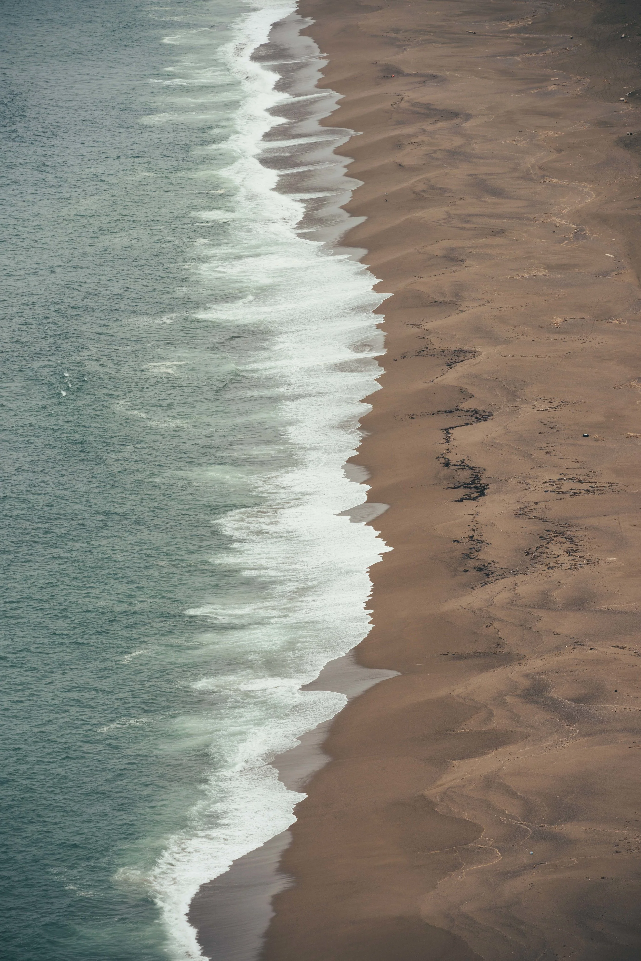 _DSC7442-2.jpg