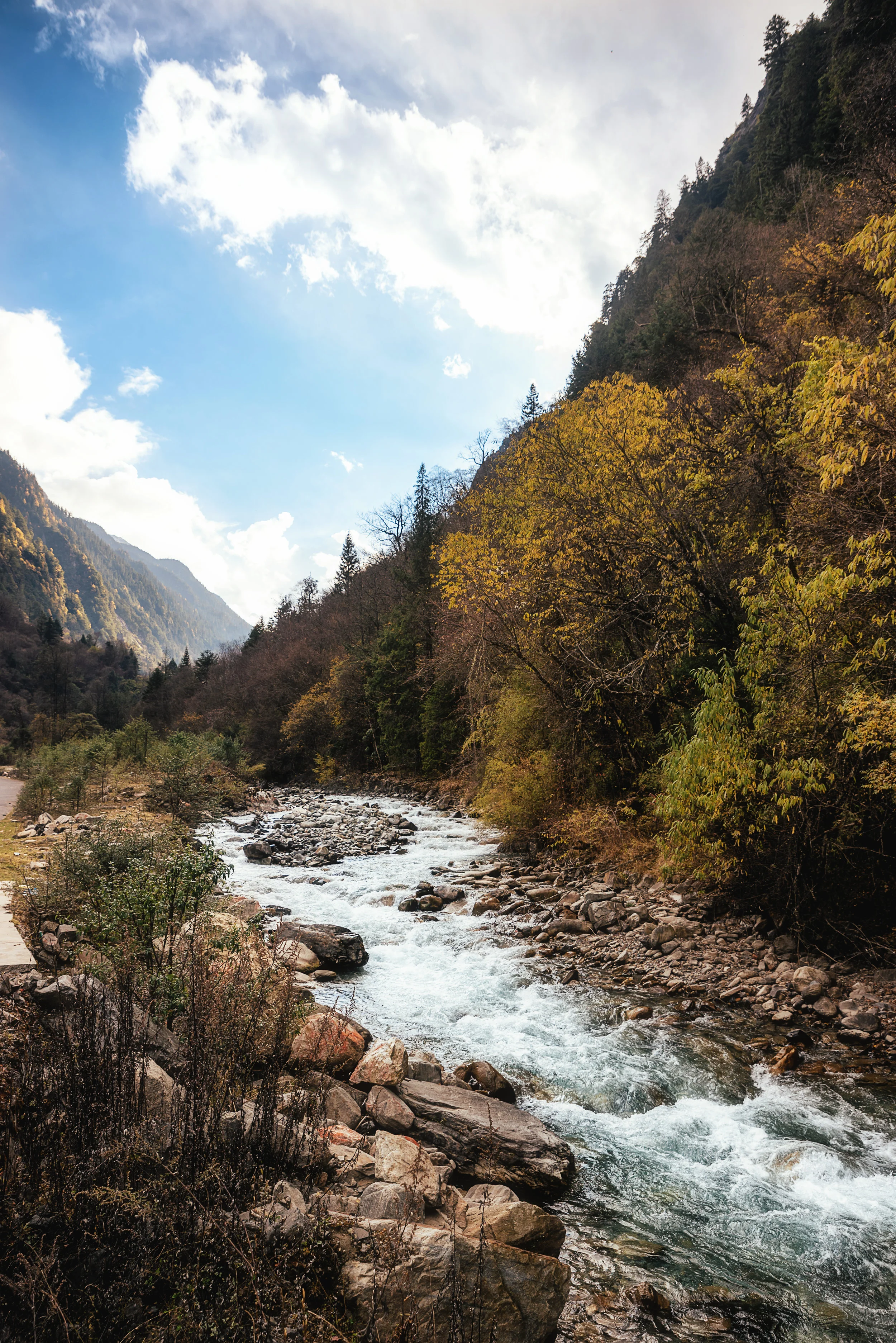 _DSC0884.jpg