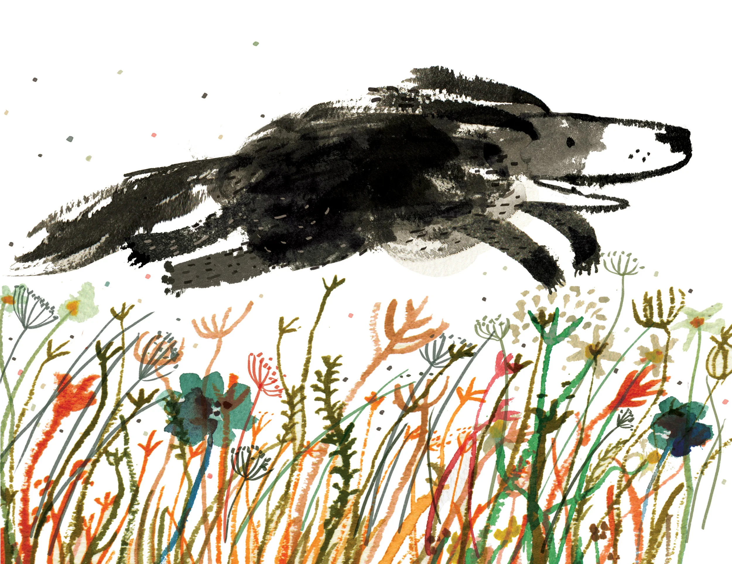 Time for Bed Fred SPREAD_05_08.jpg