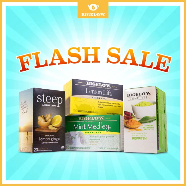 BT160901_web_JN3_C_FlashSale.jpg