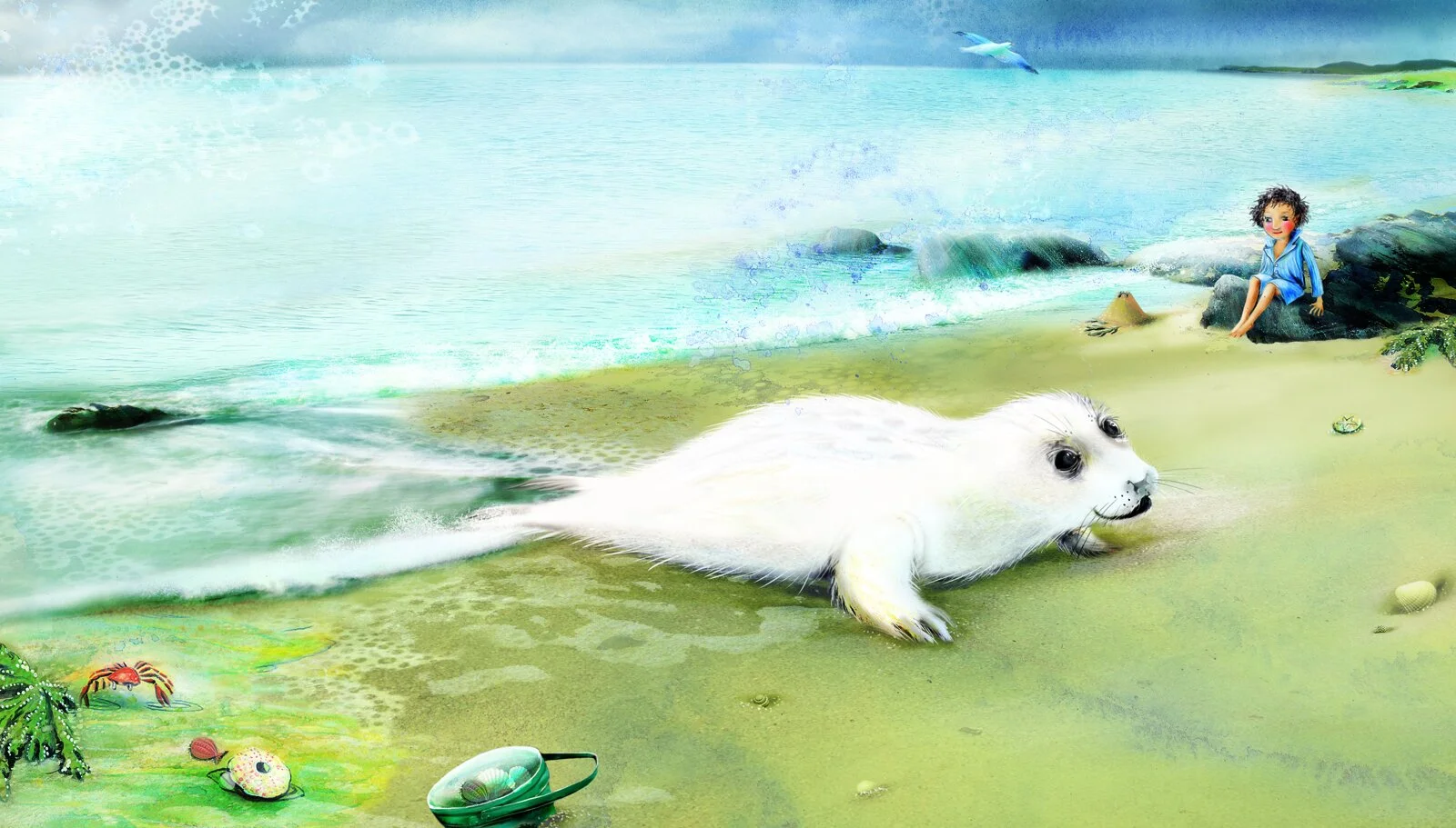 The seal on the beach