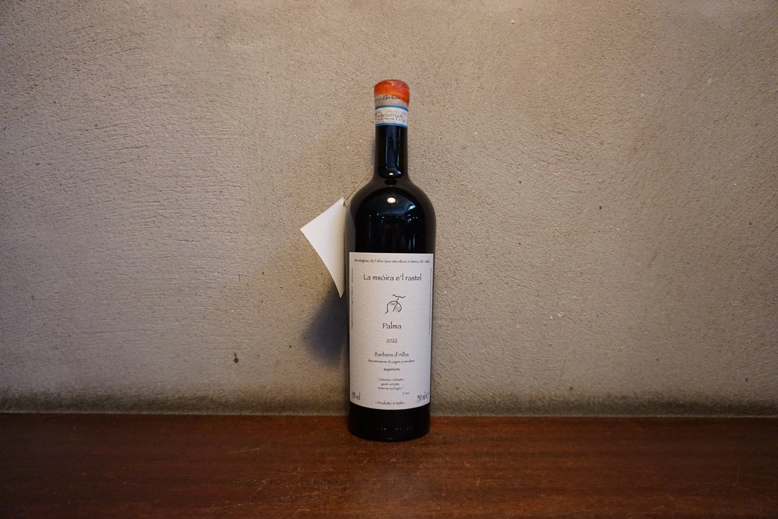 Fabio Gea, Palma 2022