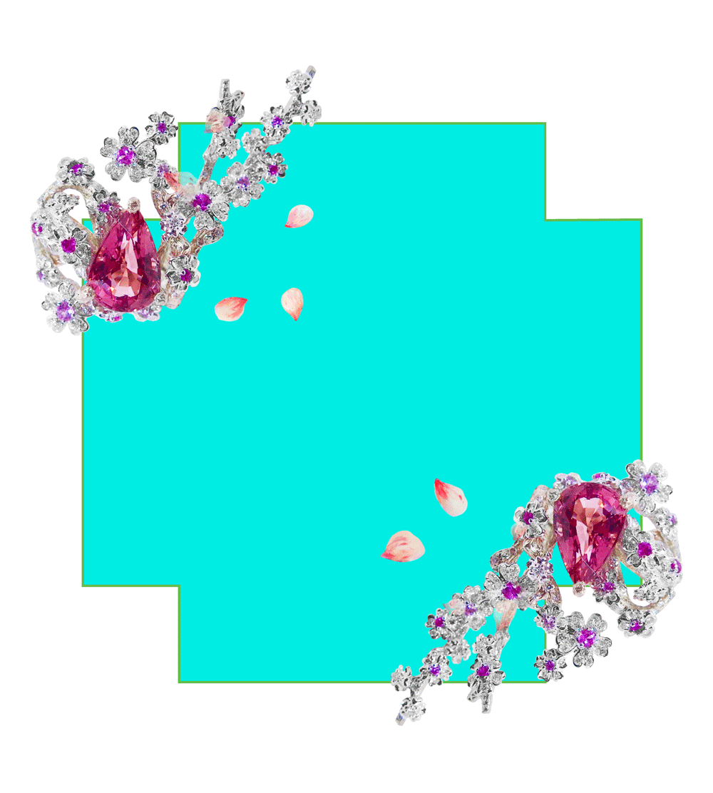 sakura4-43_behance3.gif