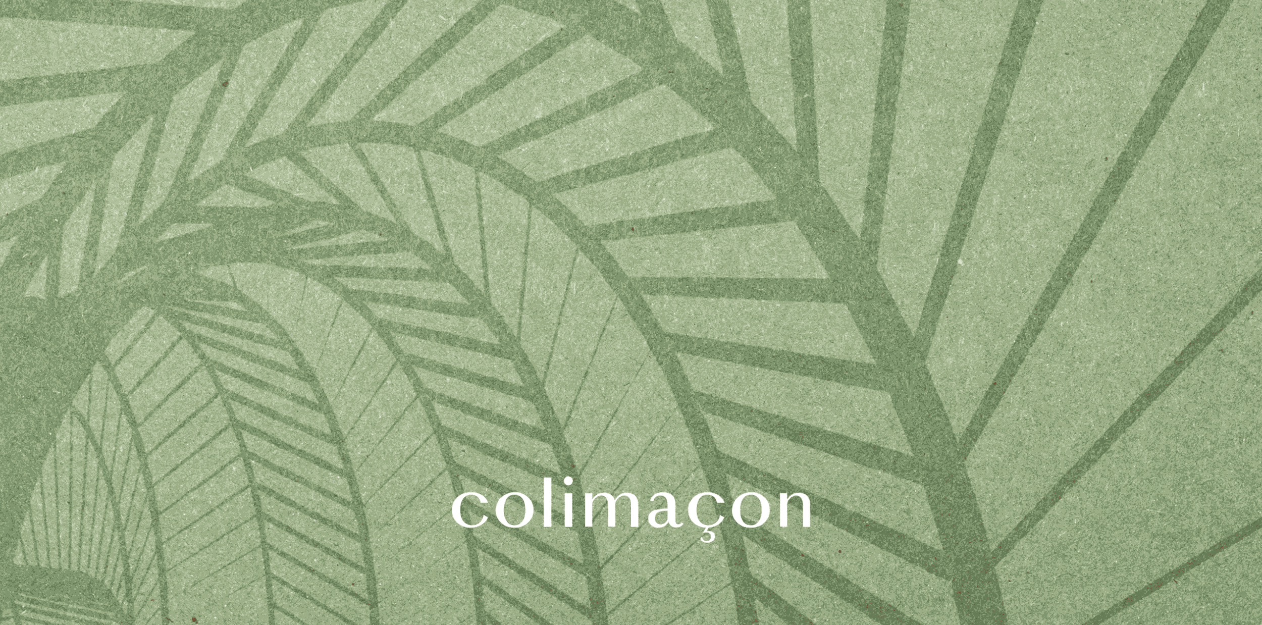 cover-30 copy 2.gif